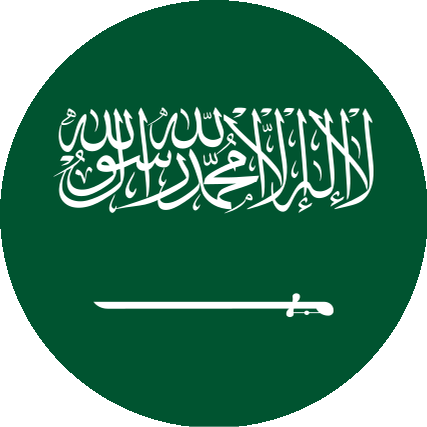 العربية flag