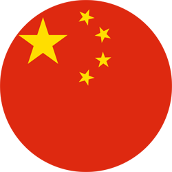 中文 flag